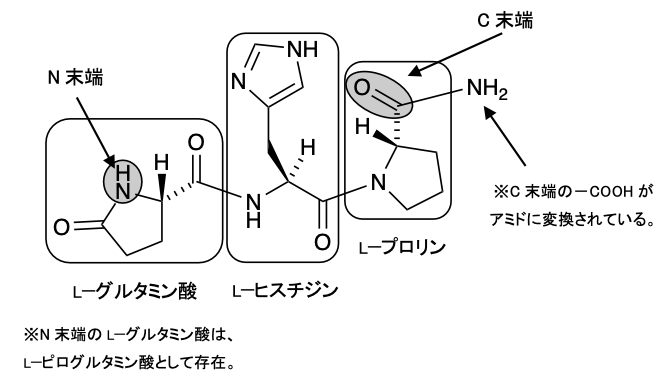 解説画像